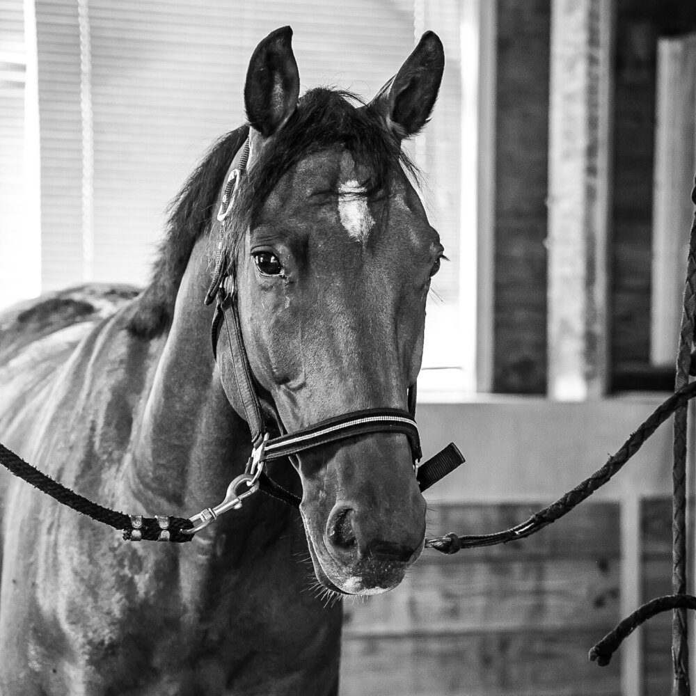 Déménagement - changement